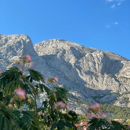Heaven'S View Apartments Baška Voda Extérieur photo
