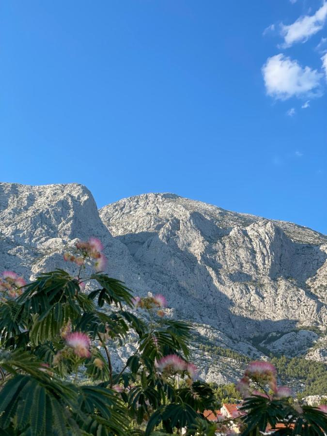 Heaven'S View Apartments Baška Voda Extérieur photo